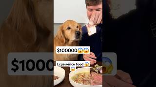 😱 1 vs 10000 food 😋😱 food mrbeast mrbeastshorts dog labrador rottweiler shortsvideo love [upl. by Lippold]