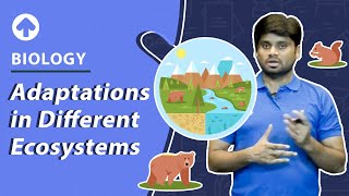 Adaptations in Different Ecosystems  Biology [upl. by Madison301]