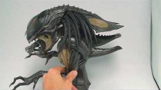 AVPR Hybrid Predalien Bust Review [upl. by Berneta770]