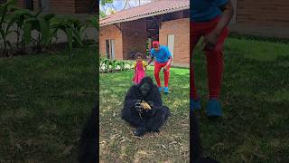 Tomando a Banana do Gorilla 😱😰🦍🐵 [upl. by Crysta]