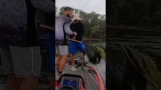 33rd Place Potomac River MLF Regional fishing majorleaguefishing basstournament largemouthbass [upl. by Ecirehs]