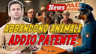 PATENTE SOSPESA a chi abbandona animali la nuova legge  Avv Angelo Greco [upl. by Crow]