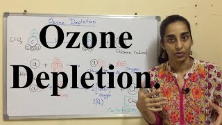 Ozone Depletion  Chemical Reactions of Ozone Depletion  Science Land [upl. by Ahsilla]