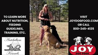 How to Keep Weight on Your Dogs at Your Kennel  Fueled by Joy [upl. by Evin]