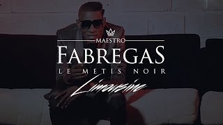 Fabregas Le Metis Noir présente Ibrator  Limousine [upl. by Arev291]