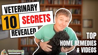 Veterinary Secrets Revealed Dr Jones Top 10 Home Remedies and Videos [upl. by Nellda463]