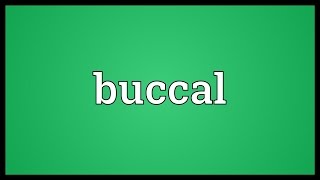 Buccal Meaning [upl. by Barstow]