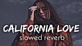 California Love SlowedReverb  Gur Sidhu  Deepanshu Tiwari [upl. by Wesa]