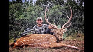 My First Spot and Stalk Axis Deer Hunt Texas FreeRange [upl. by Ann-Marie80]