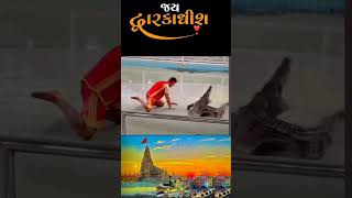 Jay dwarkadhish jaydwarkadhish shortsfeed trending motivation youtubeshorts viralvideo [upl. by Rollie509]