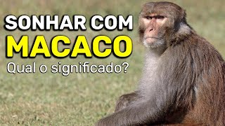 SONHAR COM MACACO Qual o significado ATENÇÃO [upl. by Ellek]