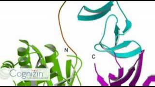 Cognizin FAQ  Why use Citicoline Part 3 of 10 [upl. by Bowra]