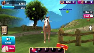 PFERDE PARADIES App deutsch  PFERD FÜTTERN  PFLEGEN  Horse Paradise  Spiel mit mir Games [upl. by Aicilram]