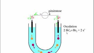 Électrolyse du bromure de cuivre [upl. by Brunhilda]