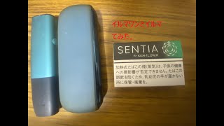 【IQOS】イルマワンとイルマ吸い比べてみた～アイシーブラック編～ [upl. by Henrion]