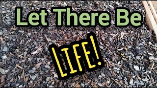 Let There Be Life  Anns Tiny Life [upl. by Shantee122]