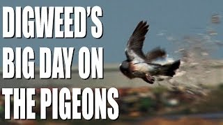 George Digweeds big day on the pigeons [upl. by Trudie52]