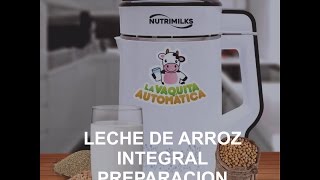 Leche de Arroz Integral  Preparación  Maquina para hacer leches vegetales [upl. by Sikorski]