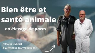 Bien être et Santé Animale en Elevage de Porcs [upl. by Novit192]