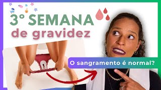 3 SEMANAS DE GRAVIDEZ sintomas ultrassom sangramento na 3 semana de gravidez é normal barriga feto [upl. by Venator343]