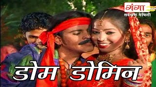 Maithili Songs  डोम डोमिन  Maithili Hit Songs [upl. by Sage745]