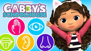 Learn The 5 Senses Sight 👀 Sounds👂 Smells 👃 More Learning Games For Toddlers  GABBYS SCHOOLHOUSE [upl. by Sylvie]