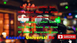 Doinita Fluturu amp Tomis Jr Of mama  liberarea i grea Karaoke Universal Ro [upl. by Illek]