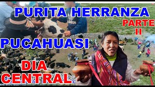 HERRANZA DE VACAS  SORAS  PUCAHUASI  DIA CENTRAL 02 [upl. by Aicyla]