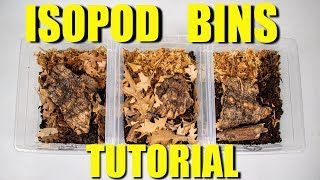 MAKING BINS FOR YOUR ISOPODS  How to culture Isopods [upl. by Dasie]