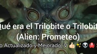 ¿Qué era el Trilobite o Trilobita Alien Prometeo Actualizado alien [upl. by Arihsan]