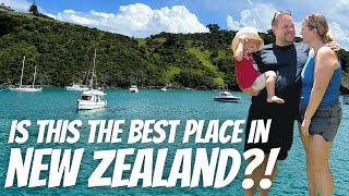 5 Reasons To Fall In Love With Waiheke Island  Auckland NEW ZEALAND [upl. by Elisabeth]