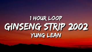 Yung Lean  Ginseng Strip 2002 1 Hour Loop quotBitches come and go brah But you know I stay [upl. by Esiole]