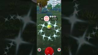 ✨ Shundo Sewaddle Evolution 💯✨ pokemongo shundopokemon [upl. by Wylie90]