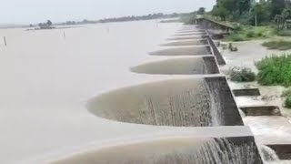 Scenic View Of Dam Overflow  Moti Sagar dam Overflow shorts [upl. by Maggio]