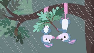 Treetop Family Episode 7  A Stormy Day  Cartoon For Children [upl. by Enela]