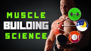 How To Build Muscle As Quickly As Possible [upl. by Francklyn]