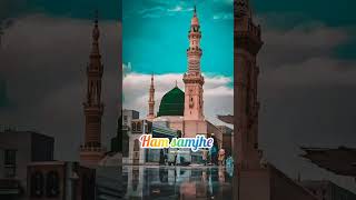 Madine ja ke ham samjhe beautiful trend shorts naatsharif islamic status [upl. by Ybloc]