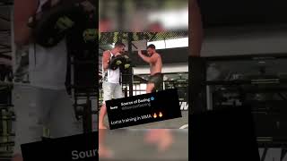 Vasiliy Lomachenko Training MMA 🔥 boxing [upl. by Attey]