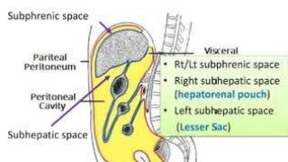 Anatomy of the Subhepatic space Hepatorenal space or Morrisons pouch [upl. by Laure]