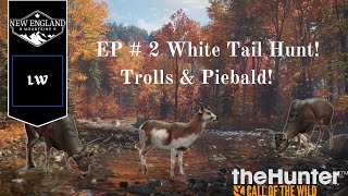 Finding Piebald Whitetail amp Trolls  theHunter Call of the Wild [upl. by Rehpotsirh213]