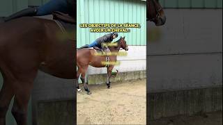 🐎Les secrets de cette ligne en description🐎 cheval chevalpassion equitation horse [upl. by Elston]