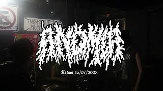 Anomia mincecore live Aedos  2023 [upl. by Nozicka777]