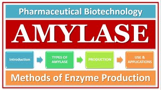 AMYLASE  TYPES OF AMYLASE  BASICS FUNCTION amp USE  AMYLASE PRODUCTION BY USING MICROBIAL STRAIN [upl. by Thury]