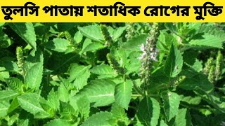 Tulsi Patar Upokarita  Tulsi Pata Khele Ki Hoy  Tulsi Patar Gunagun [upl. by Fronnia]