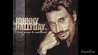 VIVRE POUR LE MEILLEUR JOHNNY HALLYDAY COVER GERARD HELLEMOT [upl. by Eslud]