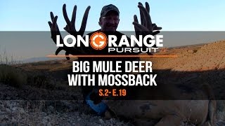 Long Range Pursuit  S2 E19 Big Mule Deer with Mossback [upl. by Ahsyekat]