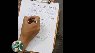 Difference between animal cell and plant cell PART1 [upl. by Ynoyrb]