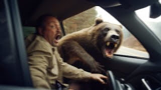 Grizzly Bear Shows Why You Must ALWAYS Stay Inside Your Car [upl. by Roban]