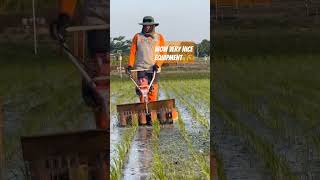 weeder machine very useful wow shortvideo agriculture agriculturefarming farming [upl. by Adelaja]