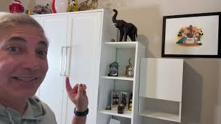 Hanging Cabinet with Door Review amp Unboxing 4K [upl. by Farrah]